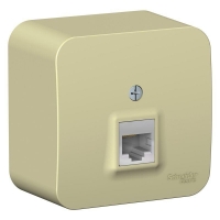 Розетка компьютерная 1-м ОП Blanca RJ45 кат.5E с изолир. пластиной бежевая SE BLNIA045007